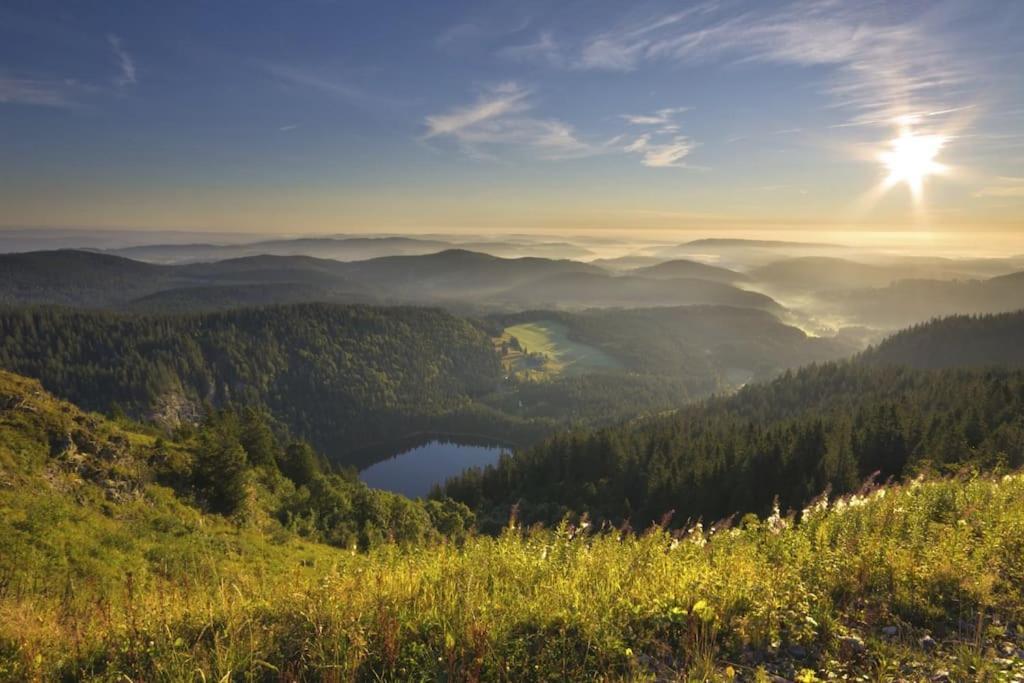 Waldlicht Titisee Екстериор снимка