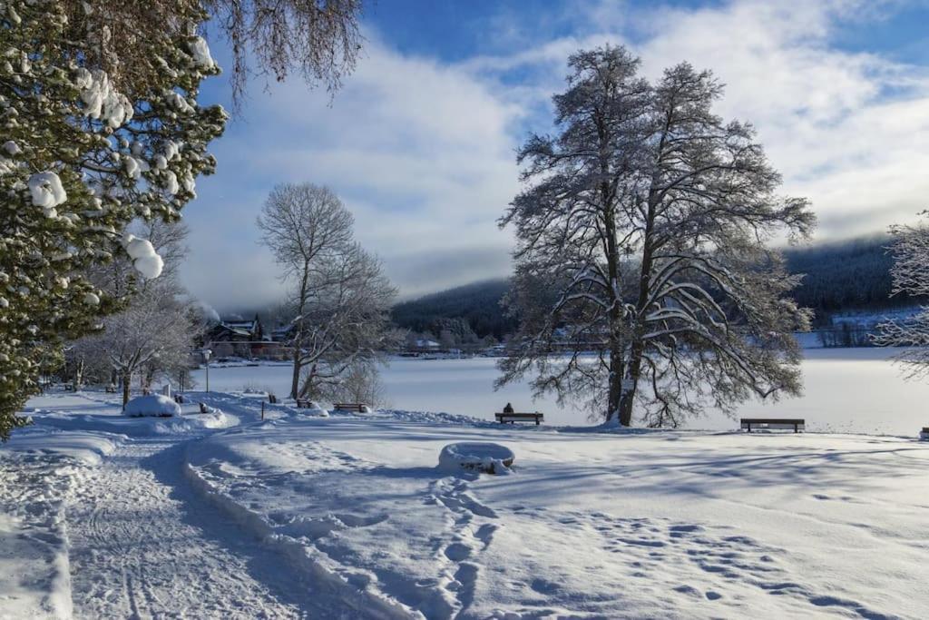 Waldlicht Titisee Екстериор снимка