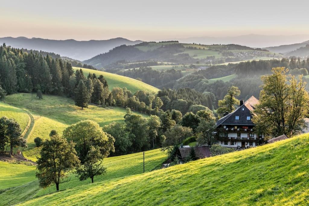 Waldlicht Titisee Екстериор снимка